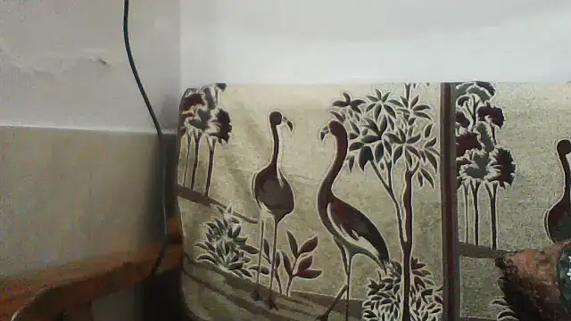 shalini_fire 라이브 XXX 채팅