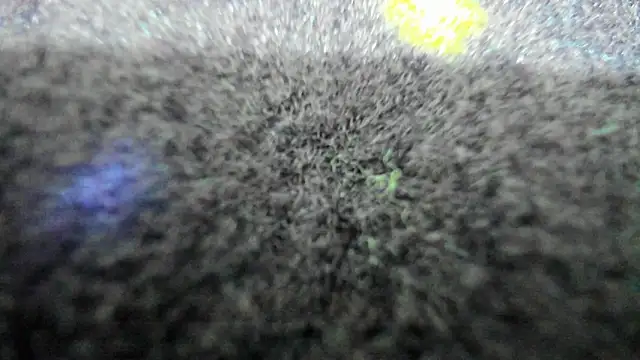 AishaRouhi Obrolan Langsung XXX