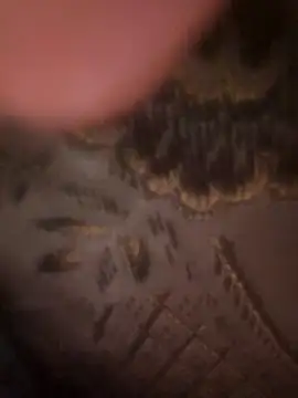 Zpgzzz77777 live XXX chat