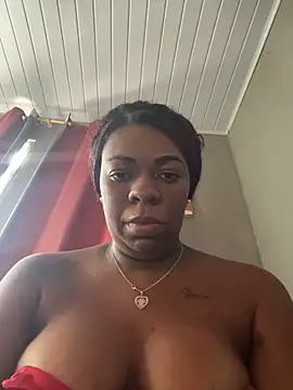 Show de Priihmedeiros na webcam