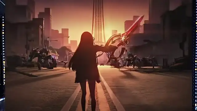 Show Webcam de cdyyds003