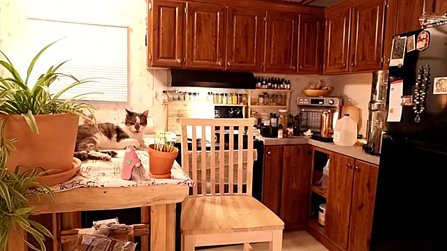 Chat +18 de xxpixeyxx ao vivo