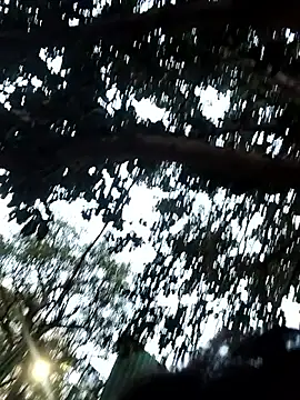 Show webcam de wtfyashu98