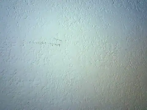 Chat XXX en directo de Bellabeltrann