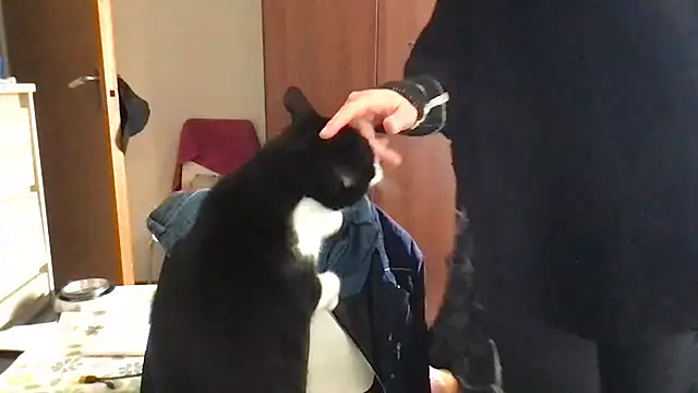 Chat XXX Live Kittymarlene