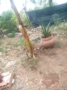 Hot_Veteran_1's Webcam Show