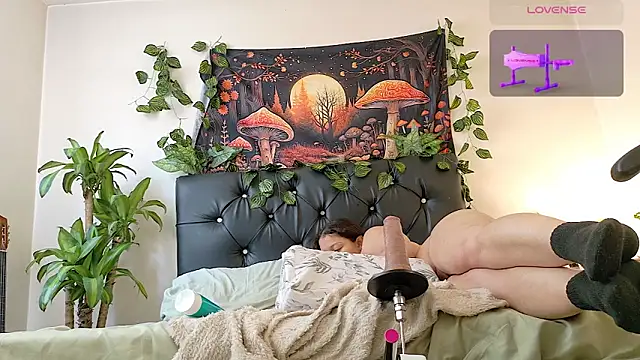 Chatroom XXX en direct de Amanda_sweet