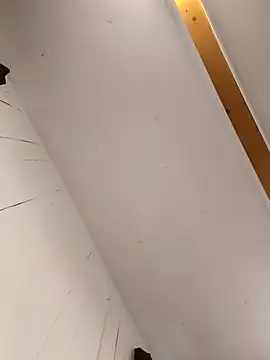 Show webcam de Hungwell1515