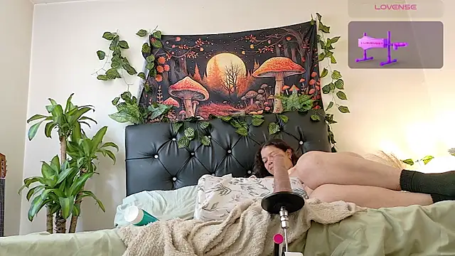 Amanda_sweet élő XXX-chatje