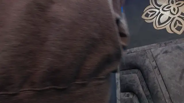 stefany_bro's Live XXX Chat