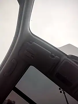 AceticPinscher – Live XXX-chat