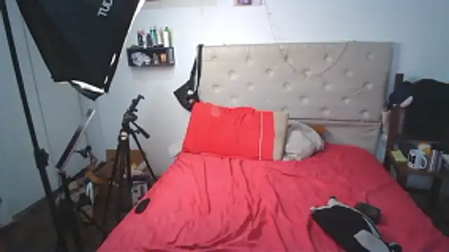 alicetgirlbr Chat XXX live