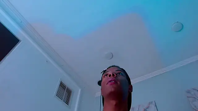 Santiago_Ortiz_n Webbikameraesitys