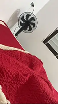 Show Webcam de vietAnhzip