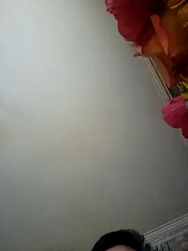 stellina8 Webcam show