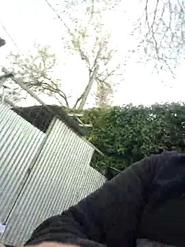 Tataursのウェブカメラショー