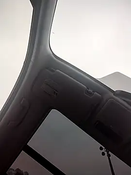 Chat XXX ao vivo de AceticPinscher