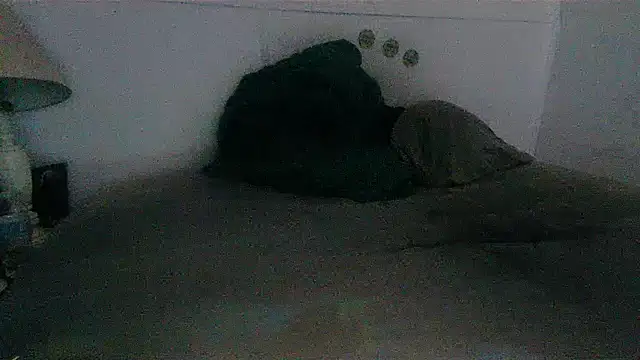 pbilip7787 Show in webcam