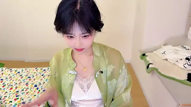 Onefionan Webbikameraesitys