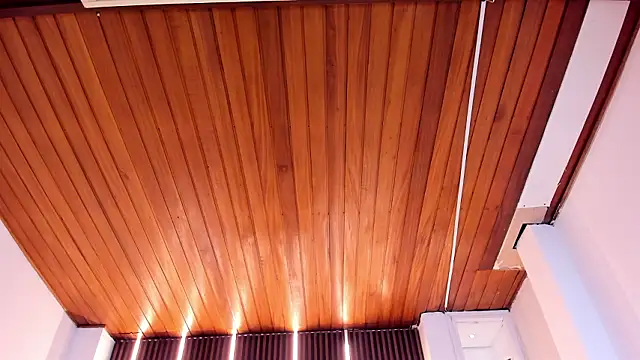 martina_mancini's Live XXX Chat