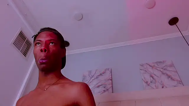 Santiago_Ortiz_n Webbikameraesitys