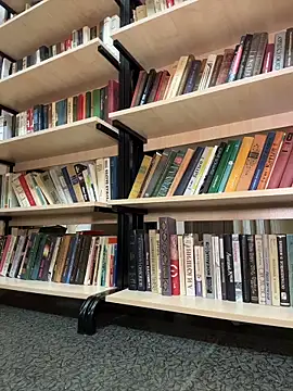 Liza_risky's Live XXX Chat