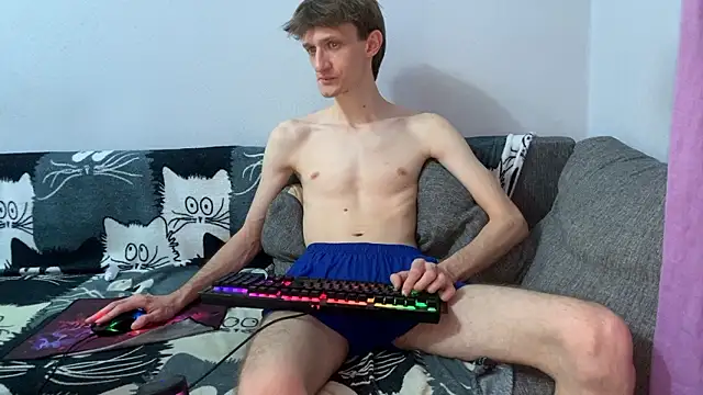 Velles 网络视讯表演