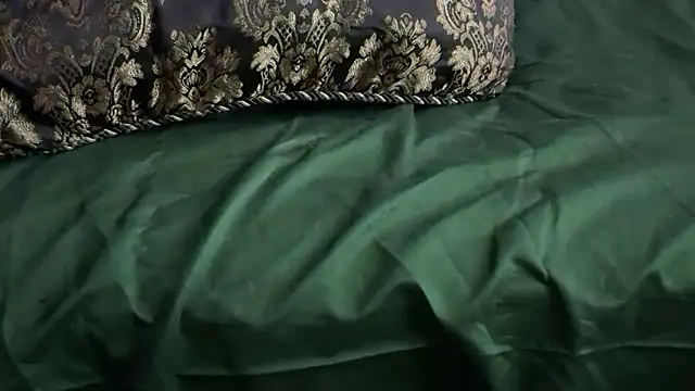 Show Webcam de adelaide2026