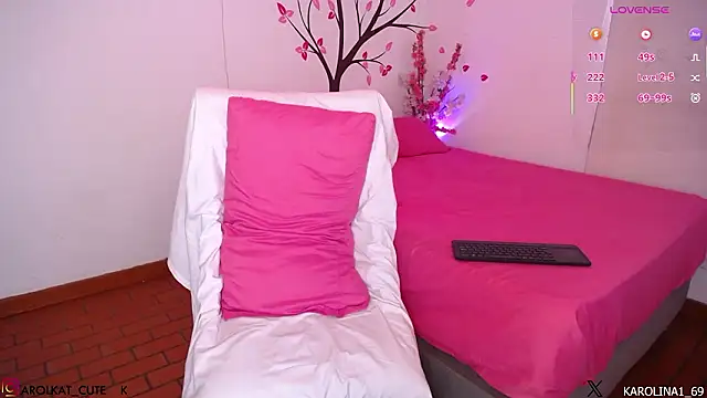 Chat +18 de Karolina_1 ao vivo