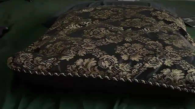 Show de adelaide2026 na webcam