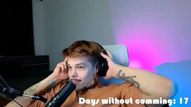 DENIS_HEREn Webbikameraesitys