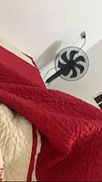 vietAnhzip Webcam show