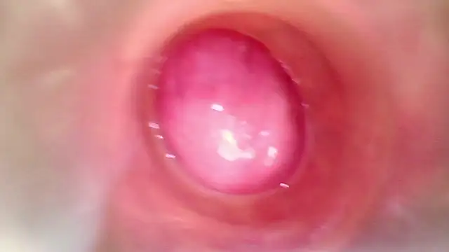 karol_kane 即時 XXX 聊天