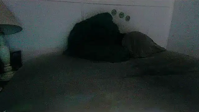 Show webcam de pbilip7787