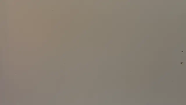 MasterDaddyCool – Live XXX-chat