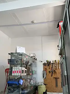 Paul22cm- Obrolan Langsung XXX