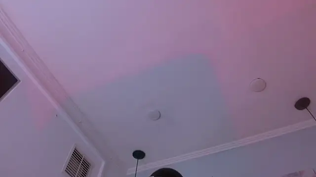 Santiago_Ortiz_n Webbikameraesitys