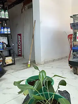 Chat +18 de Paul22cm- ao vivo