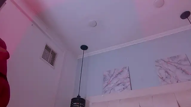 Santiago_Ortiz_ Show Webcam