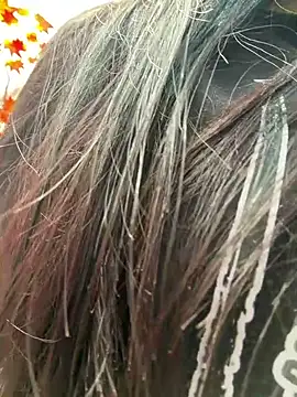 แชท XXX สดของ EmmyEvans1