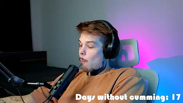 DENIS_HEREn Webbikameraesitys