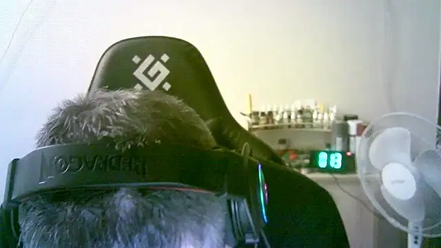 SirAbuser: διαδικτυακό σόου στην κάμερα