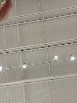 Chat XXX ao vivo de lolabunny9