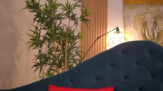 Aisha_Bee Live XXX-Chat