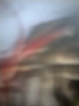 AceticPinscher Show in webcam