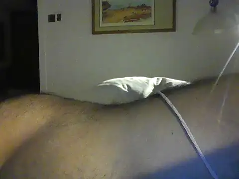 rarindam17 – Live XXX-chat