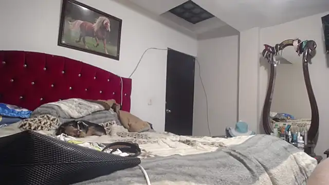 jazmin_mature_ 라이브 XXX 채팅