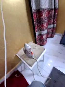 Show de SingleTest na webcam