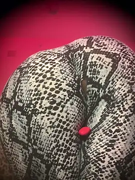 bhadglitz: διαδικτυακό σόου στην κάμερα