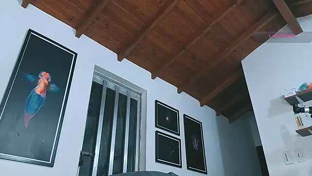 SilvaBranko 在線直播表演